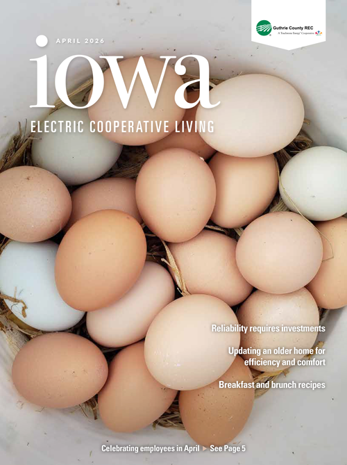 Image link to current newsletter