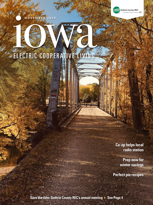 Image link to current newsletter