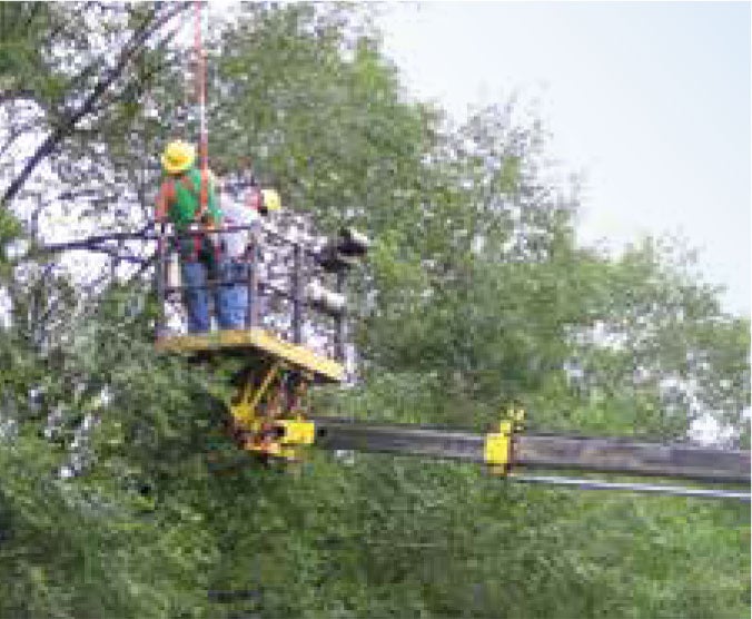 trimming-trees-improves-service-for-all-guthrie-county-rec