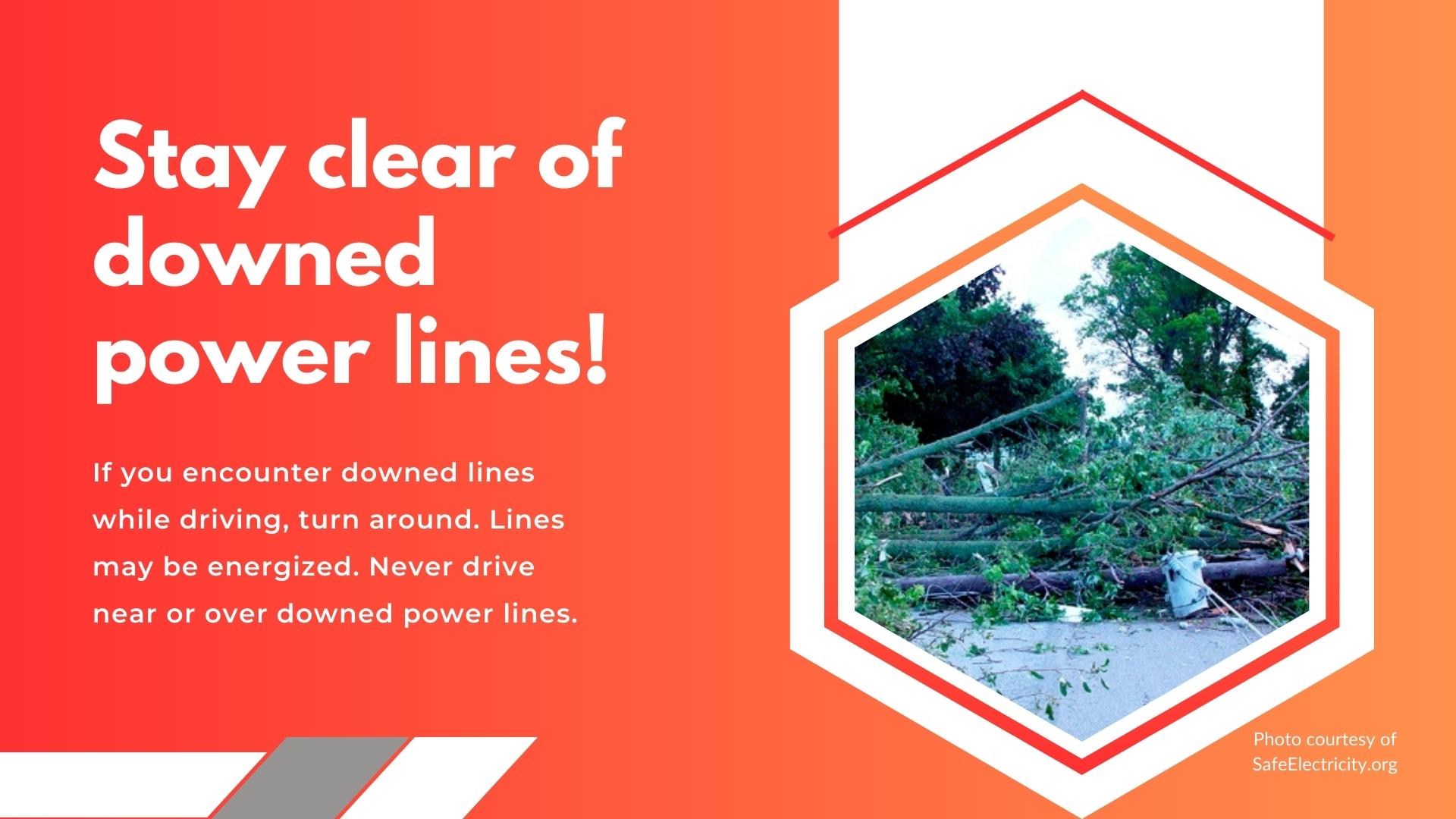 stay clear of downed power lines