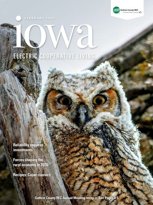 Image link to current newsletter