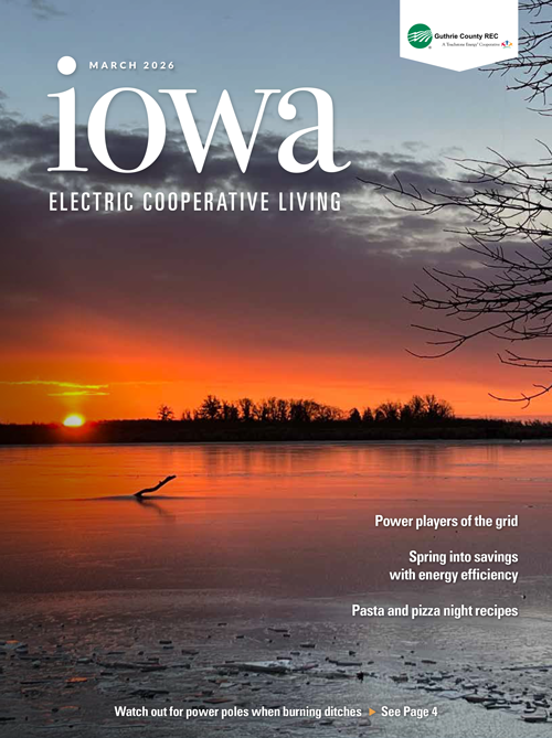 Image link to current newsletter