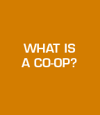 image link to what is a co-op brochure